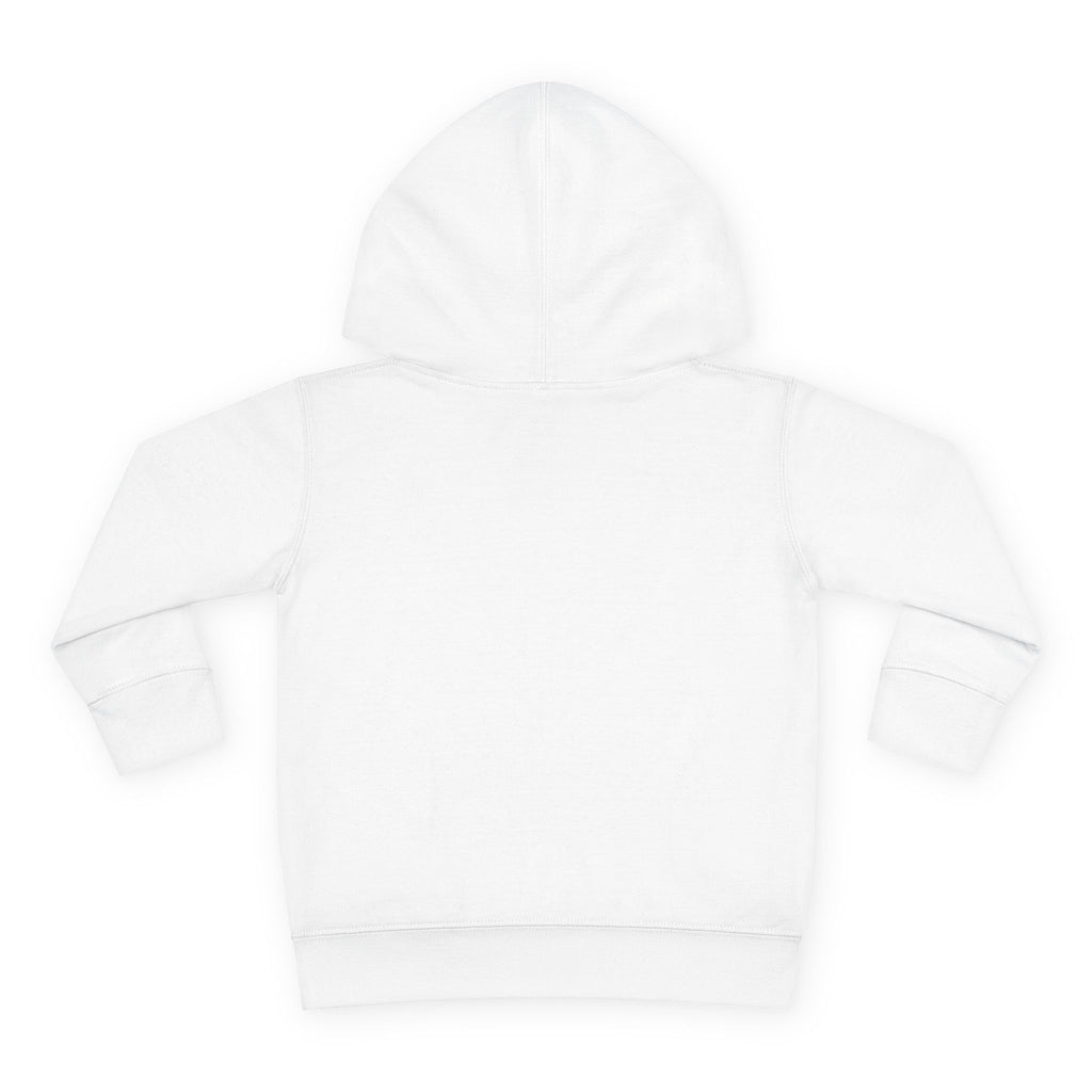 Cozy Kid Toddler Pullover Hoodie | Cozy Chaos Co.