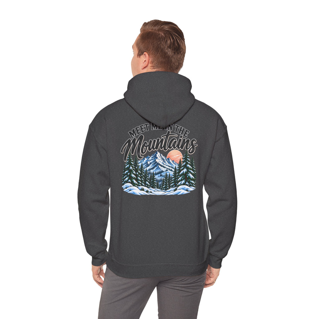 Meet Me in the Mountains Hoodie – Cozy Winter Mountain & Pine Tree Sweatshirt 🏔️🌲❄️