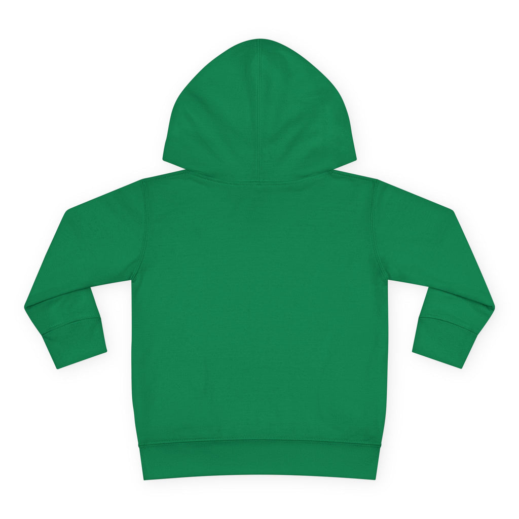 Cozy Kid Toddler Pullover Hoodie | Cozy Chaos Co.