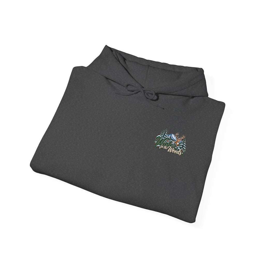 Cozy Chaos Winter In The Woods Hoodie Sweatshirt