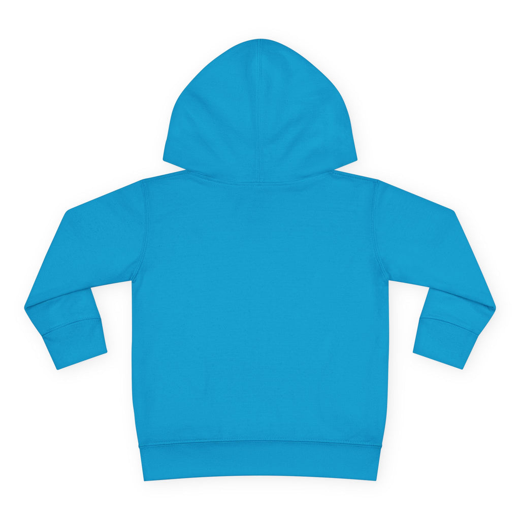 Cozy Kid Toddler Pullover Hoodie | Cozy Chaos Co.