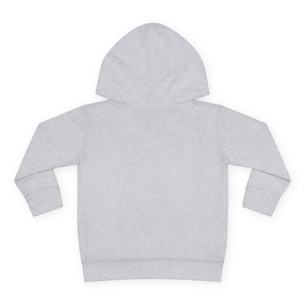 Cozy Kid Toddler Pullover Hoodie | Cozy Chaos Co.