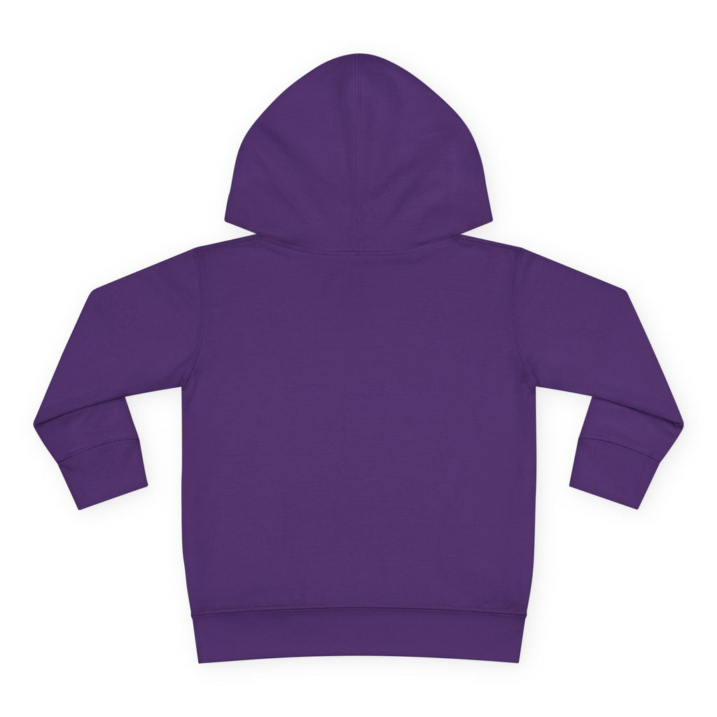 Cozy Kid Toddler Pullover Hoodie | Cozy Chaos Co.