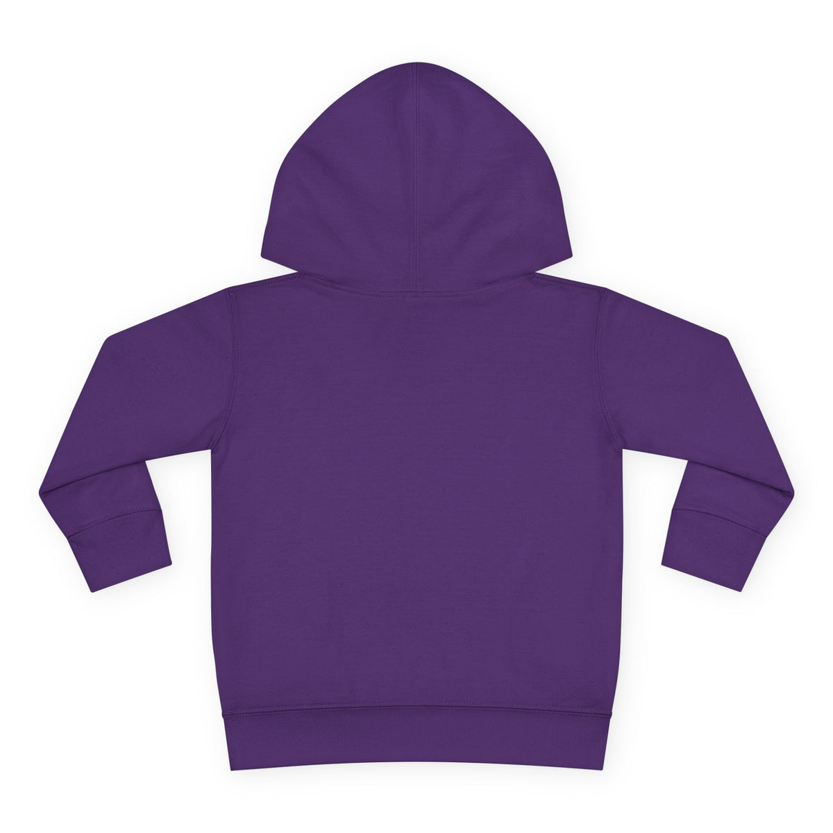 Cozy Kid Toddler Pullover Hoodie | Cozy Chaos Co.